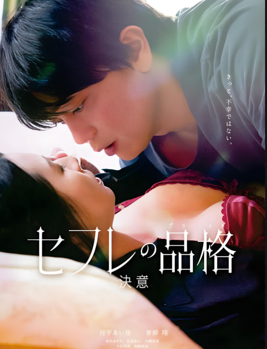 性伴侣的品格 决心(全集)